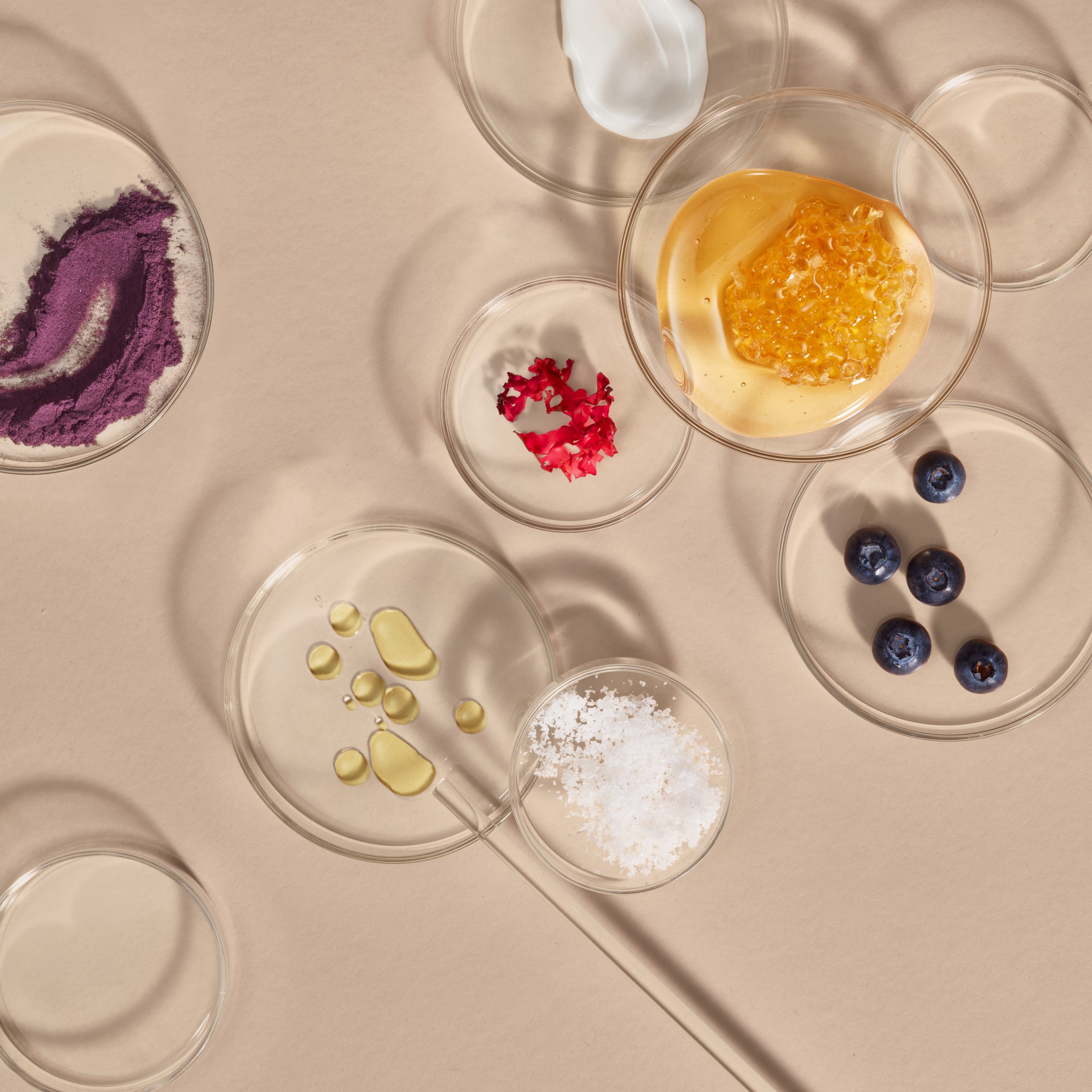 Glass petri dishes with various antioxidant skincare raw ingredients
