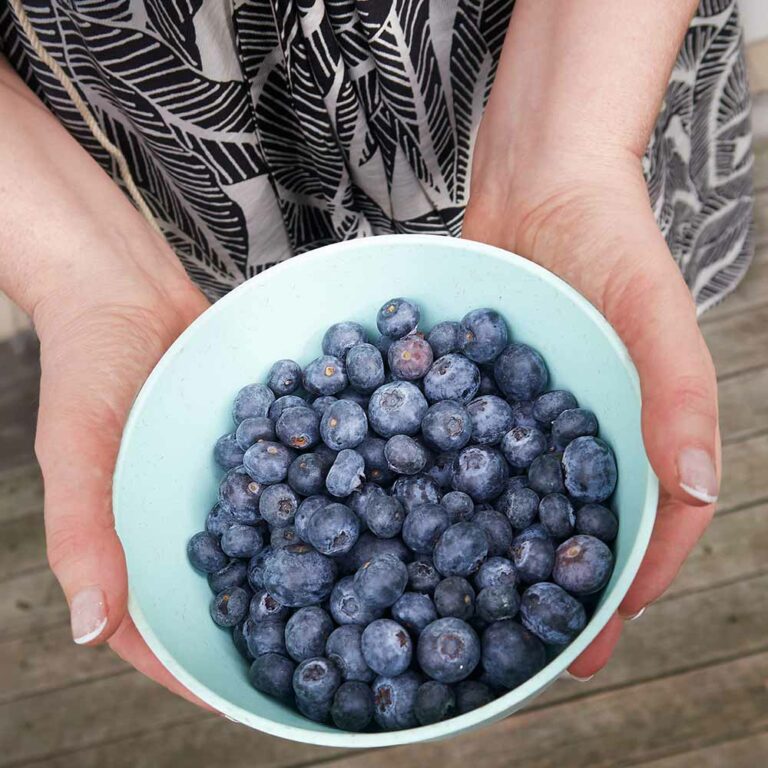 Woman holding a bowl of blueberries. Photo by Marco Palumbo