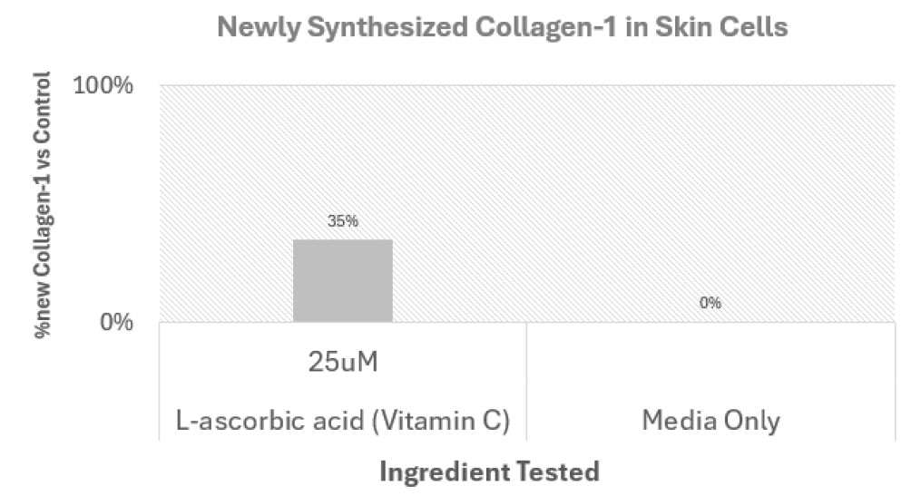 Chart showing newly synthesized collagen-1 in skin cells. L-ascorbic acid (vitamin c) showing 25uM (35% new collagen-1 vs control). Compared with media only (0%).
