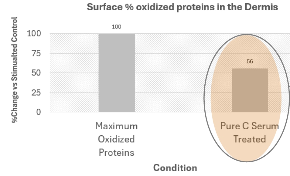Chart showing surface % oxidized proteins in the dermis. Maximum 100% change vs stimulated control. Pure C Serum Treated showing 56%.